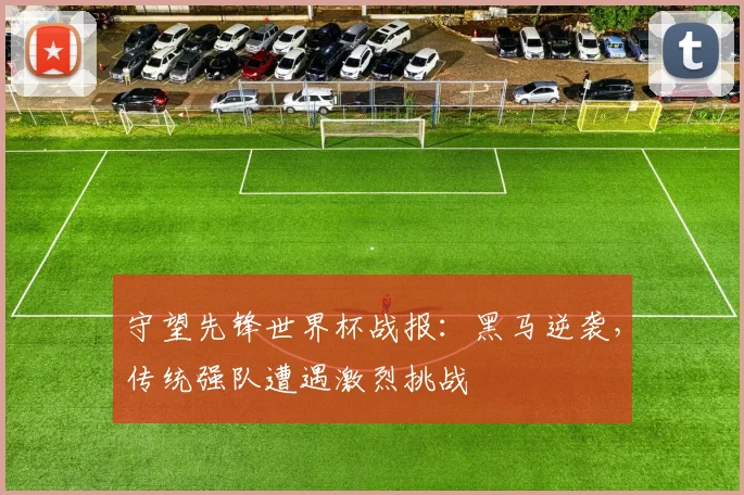 守望先锋世界杯战报：黑马逆袭，传统强队遭遇激烈挑战