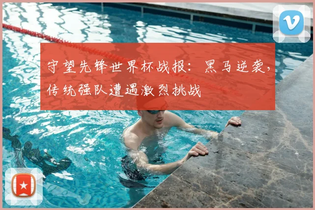 守望先锋世界杯战报：黑马逆袭，传统强队遭遇激烈挑战