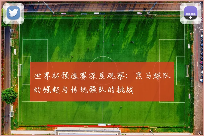 世界杯预选赛深度观察：黑马球队的崛起与传统强队的挑战