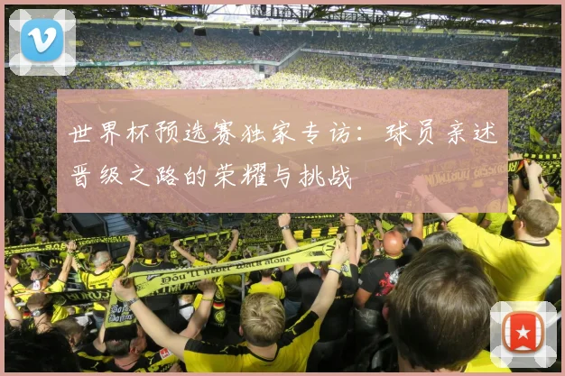 世界杯预选赛独家专访：球员亲述晋级之路的荣耀与挑战
