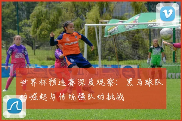 世界杯预选赛深度观察：黑马球队的崛起与传统强队的挑战