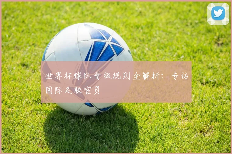 世界杯球队晋级规则全解析:专访国际足联官员