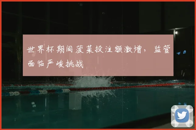 世界杯期间菠菜投注额激增,监管面临严峻挑战