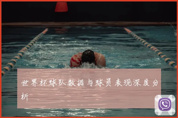 世界杯球队数据与球员表现深度分析