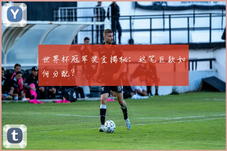 世界杯冠军奖金揭秘：这笔巨款如何分配？