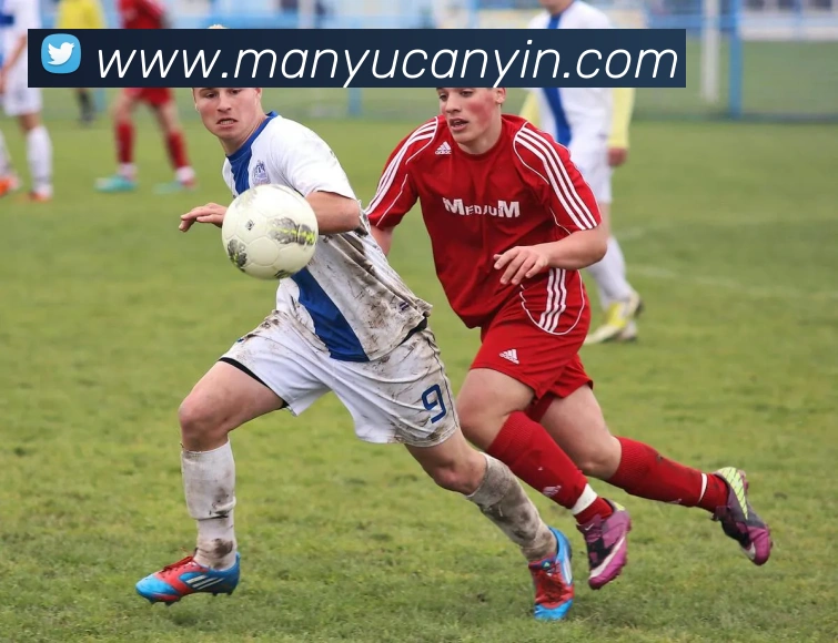 App Interface Preview